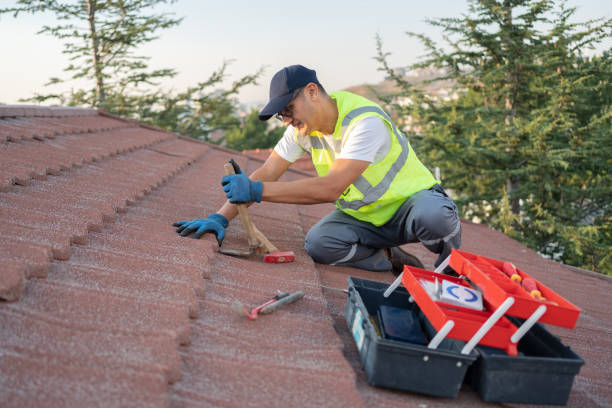 Roof Gutter Cleaning in Colonial Pine Hills, SD